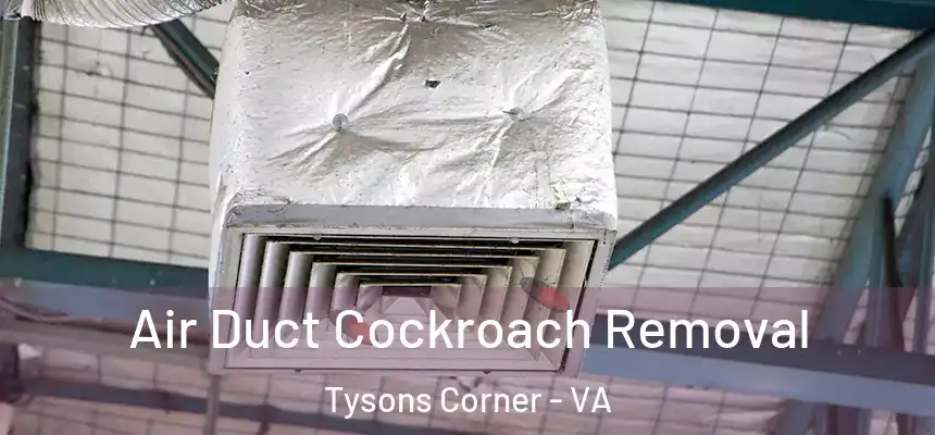 Air Duct Cockroach Removal Tysons Corner - VA