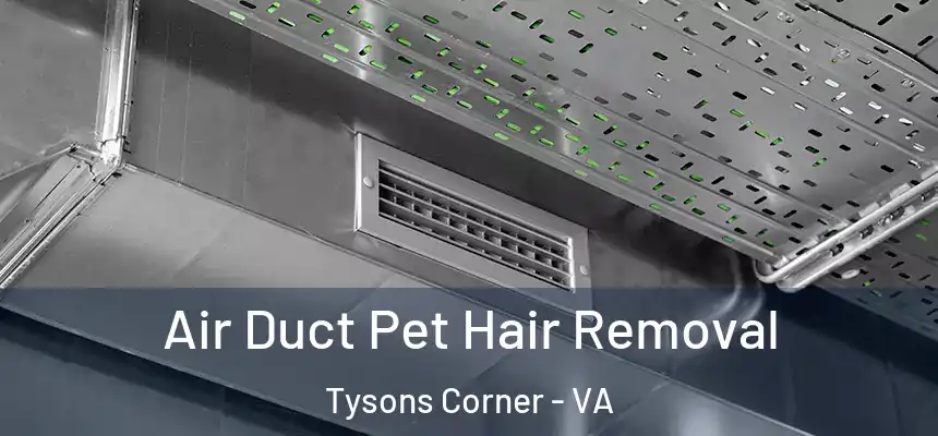  Air Duct Pet Hair Removal Tysons Corner - VA