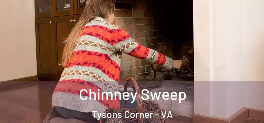 Chimney Sweep Tysons Corner - VA