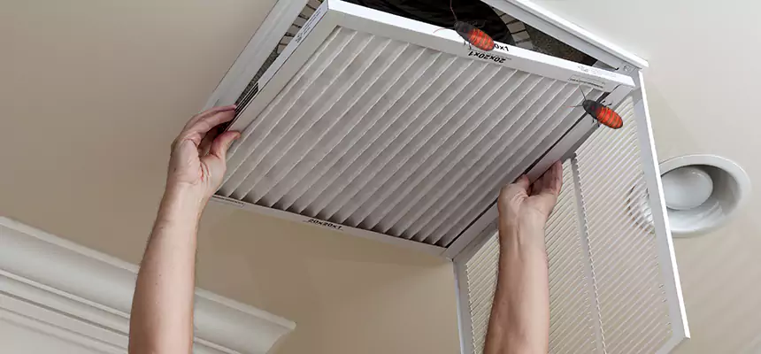 Preventive Cockroach-Proofing for Ducts in Tysons Corner