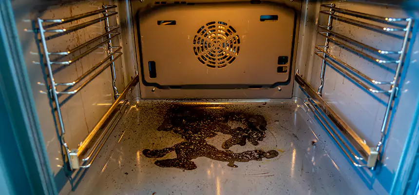 Our Dryer Vent Mold Cleaning Services in Tysons Corner, VA