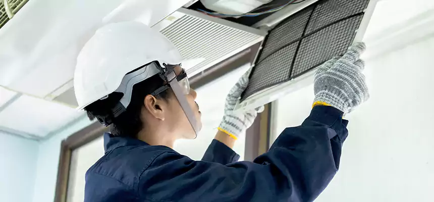 Our Mold & Mildew Removal from Air Ducts Services in Tysons Corner, VA