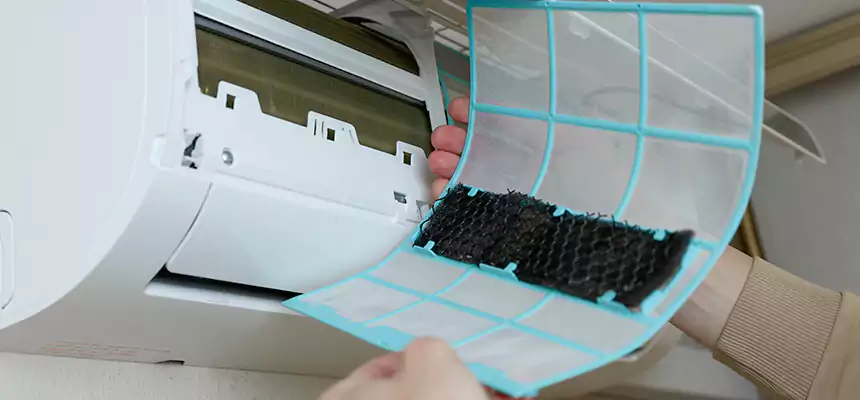 Gentle Ductwork Odor-Control Pet Dander Duct Cleaning in Tysons Corner, VA