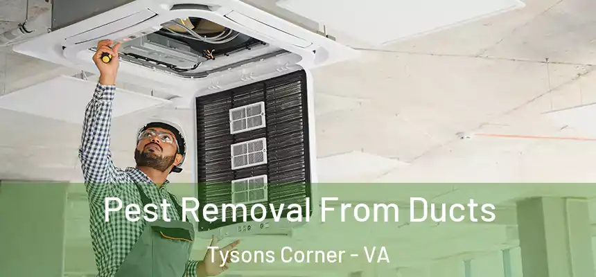  Pest Removal From Ducts Tysons Corner - VA