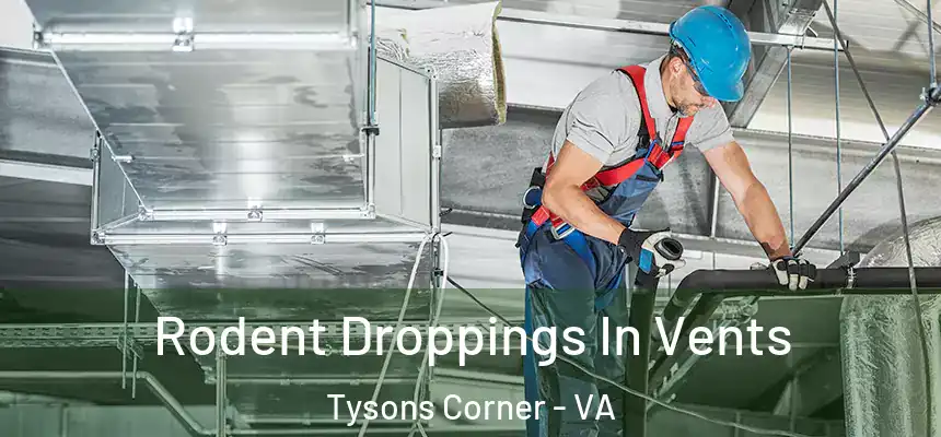  Rodent Droppings In Vents Tysons Corner - VA
