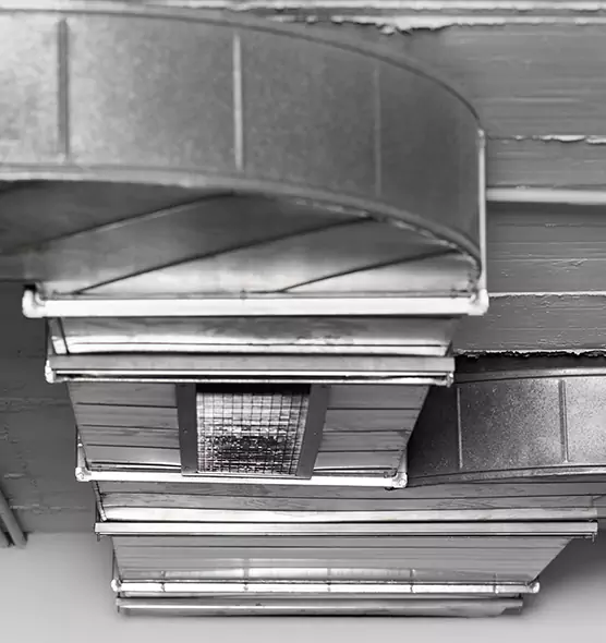 Professional Air Duct Pest Removal in Tysons Corner, VA