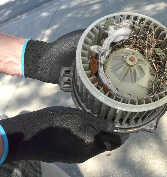 About Air Duct Rat Removal in Tysons Corner, VA